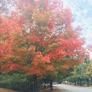 Meet your Posher, Anum